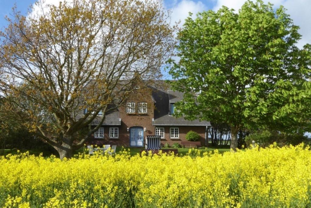Ferienwohnung Haus Wolfram App. Wilhelmine Morsum  Exterior foto